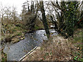 River Waveney