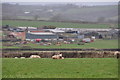 Mid Devon : Grassy Field & Sheep