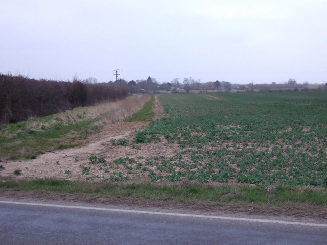 Crop field off Manby Road (B1200)