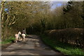 Riding exercise through Thornton le Moor