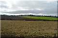 Farmland near Leasowes