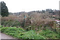 Footpath off Higher Lane, Axmouth