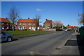 Houses on Coltman Avenue, Hull