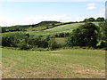 The Struell Valley south of the Ballyhornan Road