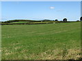 Farmland on the north side of the Ballyhornan Road