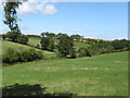 Struell Valley north of the Ballyhornan Road