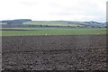 Ploughed field, Castleton