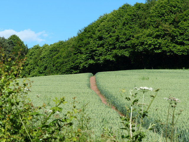 Footpath and farmland near the Dick Brook