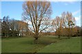 Field and stream, East Stoke