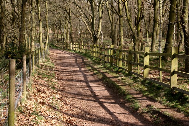 Footpath in Walesby Forest