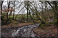 North Devon : Tidderson Lane