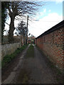 TM2972 : Track to Church Terrace Cottage by Geographer