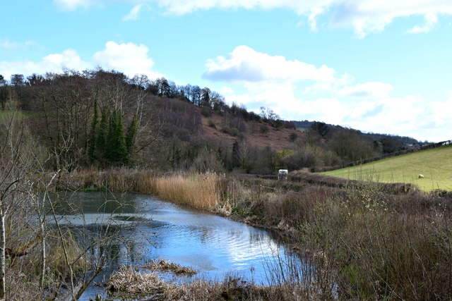 Pond on Longhope Brook