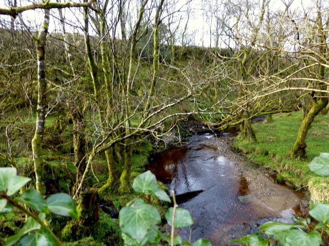 Wooded glen and stream, Cornavarrow