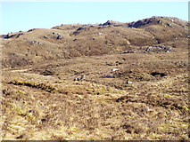 NH0334 : Terrain west of Bealach Luib nan Feadag in Killilan Forest by ian shiell