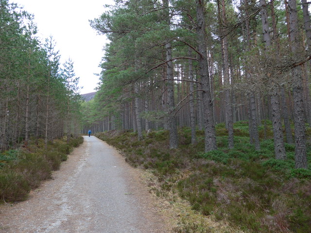 The Ryvoan Track