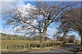 Road junction near Cowdenmoor