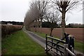 Tree-lined avenue to Furze Court