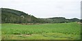 Vegetable crop on drumlin overlooking Lough Money