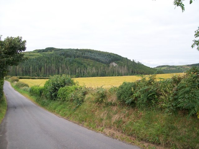 The wooded slopes of Slievenagriddle viewed from the Ballyculter Road