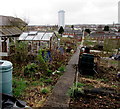 Allotments path, Old Cwmbran