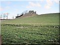 Remains of Skelbo Castle