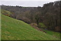 Mid Devon : Countryside Scenery