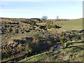 Unnamed burn near Fiddler