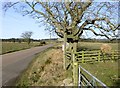 Footpaths cross the road