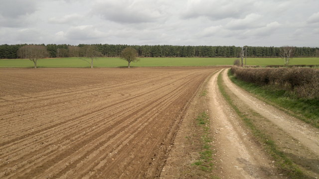 View towards Spitfire Hill