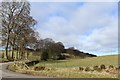 Minor road near Mains of Condie