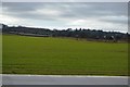 Farmland near Hollandstile