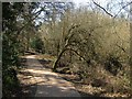 Footpath, Ashenground Park