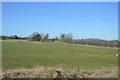 Farmland south of Langham Junction