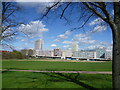 Broadwater Farm estate seen from Lordship Recreation Ground