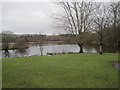 Birnie Loch Nature Reserve