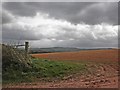 Farmland, west of Oatley Lane