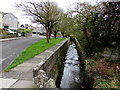 Ogney Brook alongside River Walk, Llantwit Major