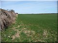 Farmland east of Long Lane, near Low Moor Farm