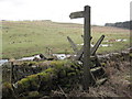 Ladder Stile, Footpath Sign and Footbridge over the Painsdale Burn