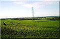 Fields west of Rectory Lane