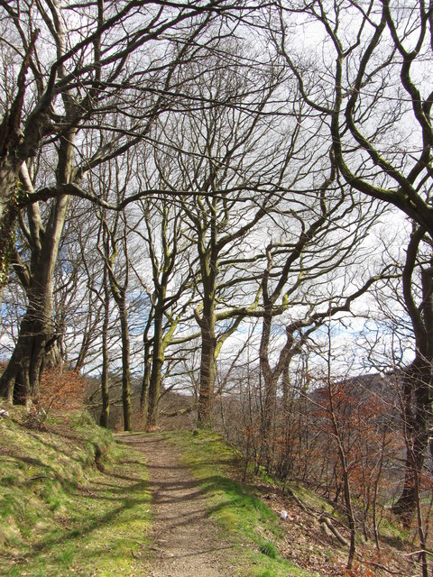 Footpath near Llwyncelyn