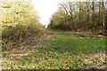 Footpath to Godington