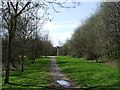 The Ivanhoe Trail approaches Mill Lane