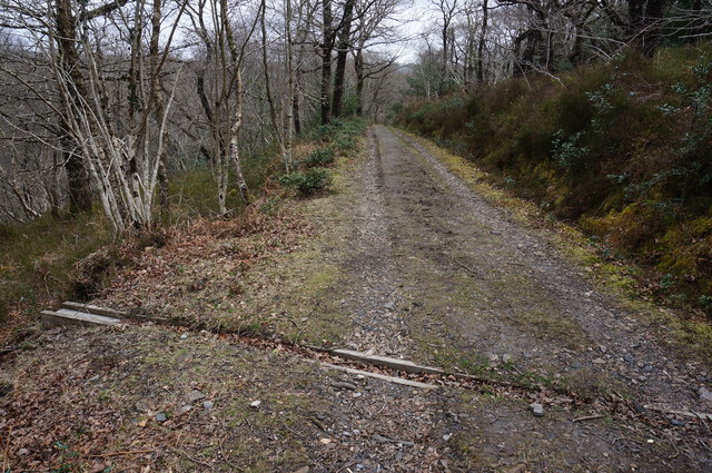 Track in Yarner Wood nature reserve