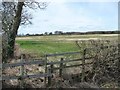 Farmland east of Blackberry Farm