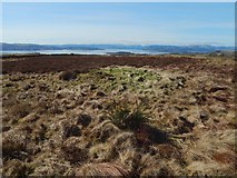 NS3678 : Grass-covered ancient cairn by Lairich Rig