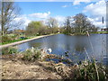 Looking across the lake in Lordship Recreation Ground towards Broadwater Farm estate