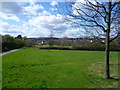 View from Lordship Recreation Ground