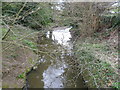 The River Ching below Highams Park lake